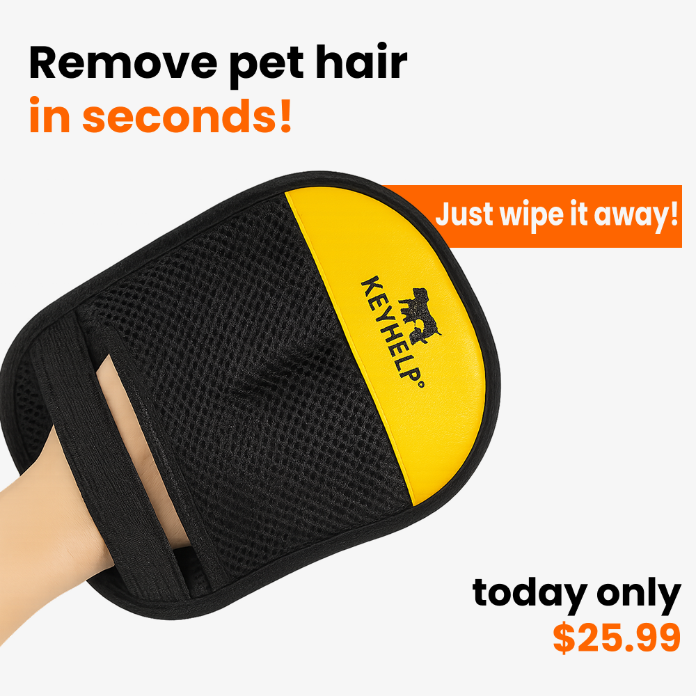 Pet Hair Removal Glove – Reusable & Electrostatic for Dogs & Cats