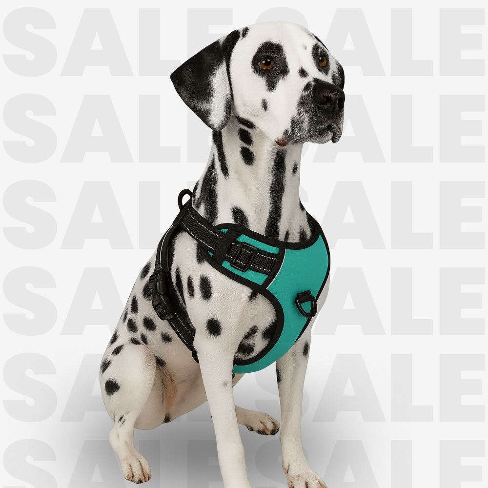 No-Pull Dog Vest Harness – Durable, Reflective & Easy to Adjust